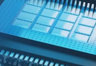 1633662630877945.jpg 3.jpg