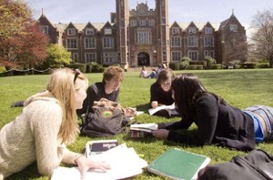 1633677557403677.jpg 3.jpg